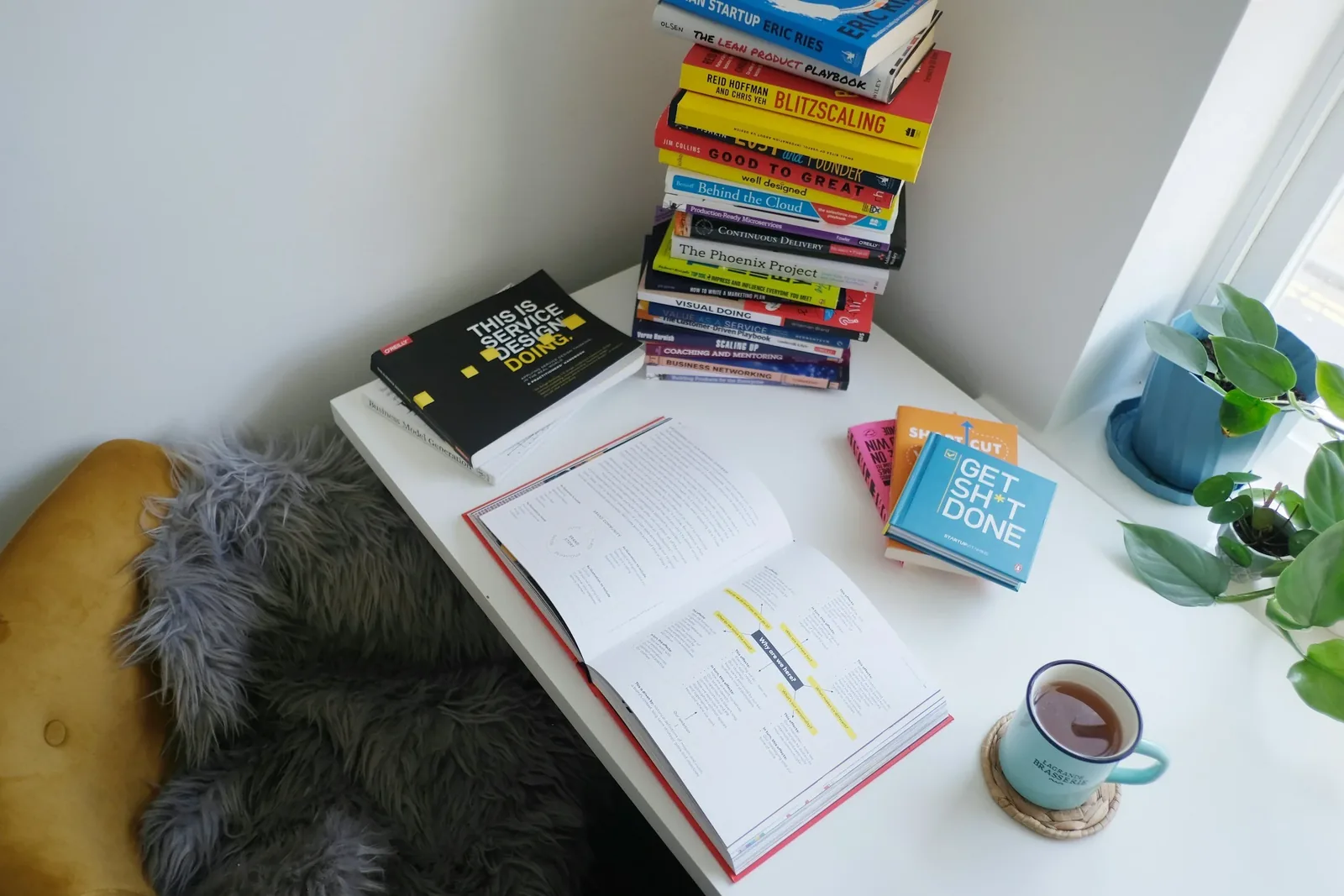 An open notebook, books and a cup of tea on a sunlit desk